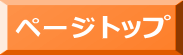 トップページボタン